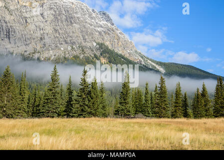 Kanadische Rockies, die durch grüne Wälder und morgen Nebel Stockfoto