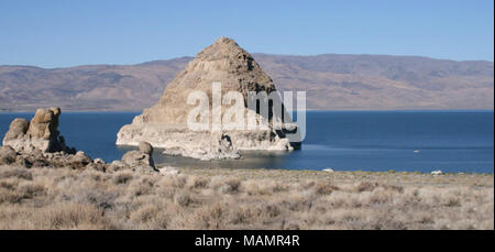 Anaho Island National Wildlife Refuge. Anaho Insel Zuflucht ist eine felsige Insel, die von den Gewässern der Pyramid Lake in Washoe County, Nevada, steigt. Die Schutzhütte wurde zum Nutzen und Schutz der kolonialen nistenden Arten und andere Zugvögel etabliert. Es unterstützt die Brutkolonien der Amerikanischen weiße Pelikane, double-Crested Kormorane, Kalifornien Möwen, Seeschwalben, der Kaspischen Region große blaue Reiher, schwarz - gekrönte Nacht - Reiher, und verschneiten Silberreiher. Die Pelican Kolonie ist einer der zwei größten in den westlichen Vereinigten Staaten. Anaho Insel Zuflucht ist auf den Zugang der Öffentlichkeit kolonialen nesting Vogel zu schützen geschlossen Stockfoto