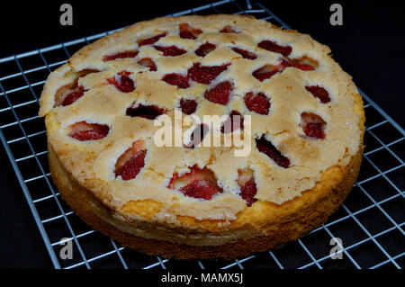 Erdbeeren Butter Kuchen, hausgemachte, frische Mahlzeit Stockfoto