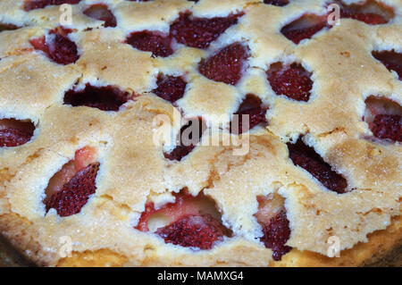Erdbeeren Butter Kuchen, hausgemachte, frische Mahlzeit Stockfoto