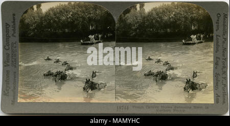 Horizontale, Sepia stereocard Übersicht Gruppe Pferde schwimmen über den Fluss mit Männern auf Küste im Hintergrund. Keystone Stereograph Nummer 18744. Der Titel lautet: "Französische Kavallerie Pferde Schwimmen Fluss im nördlichen Frankreich." Titel: "Französische Kavallerie Pferde schwimmen den Fluss." zwischen ca. 1914 und ca. 1918. Keystone View Company Stockfoto