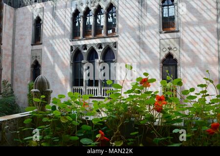 Die hängenden Nasturtiums in das Atrium des Isabella Stewart Gardner Museum im Fenway Viertel von Boston, Massachusetts, USA. Stockfoto