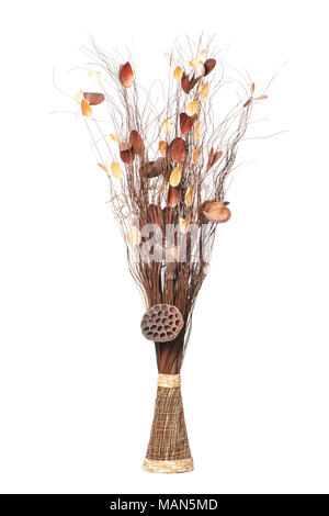 Vase mit trockenen Zweigen, dekorative Stöcke und getrocknete Zweige auf weißem Hintergrund. Stockfoto