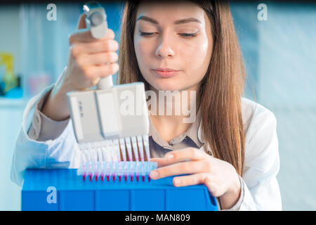 Student Frau mit multi Pipette und andere PCR-Produkte in der mikrobiologischen/genetischen Labor Stockfoto