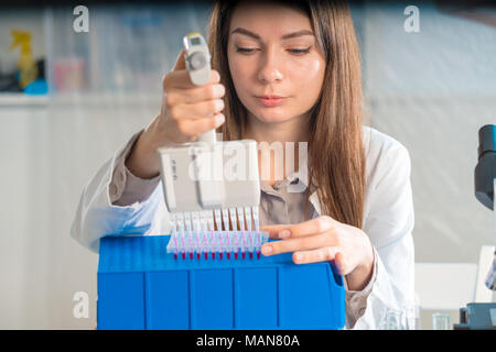 Student Frau mit multi Pipette und andere PCR-Produkte in der mikrobiologischen/genetischen Labor Stockfoto
