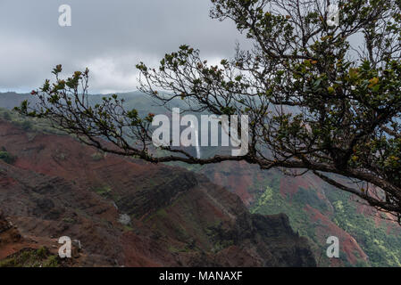 Waimea Canyon auf Kauai, Hawaii, im Winter nach einem großen regensturm Stockfoto