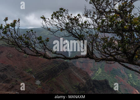 Waimea Canyon auf Kauai, Hawaii, im Winter nach einem großen regensturm Stockfoto