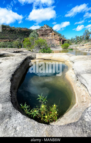 Rock Pool und gelbe Wildblumen an Porcupine Gorge National Park, mit Blick auf die Pyramide im Hintergrund, Queensland, Queensland, Australien Stockfoto