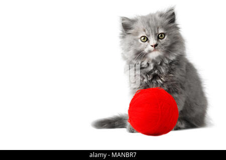 Cute Kitten das Spiel mit dem roten Ball aus Wolle, isoliert auf weißem Stockfoto