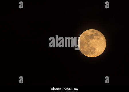 Blue Moon Rising am 31. März 2018, im Querformat Bild mit Mond isoliert auf schwarzen Hintergrund mit Text oder kopieren. Stockfoto