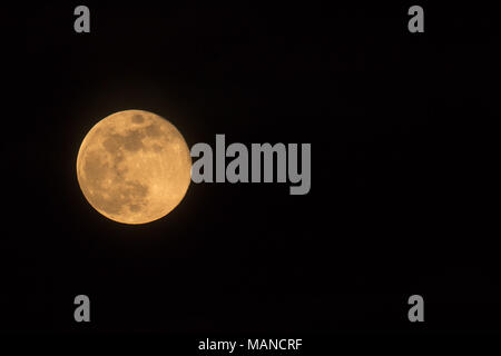 Blue Moon Rising am 31. März 2018, im Querformat Bild mit Mond isoliert auf schwarzen Hintergrund mit Text oder kopieren. Stockfoto