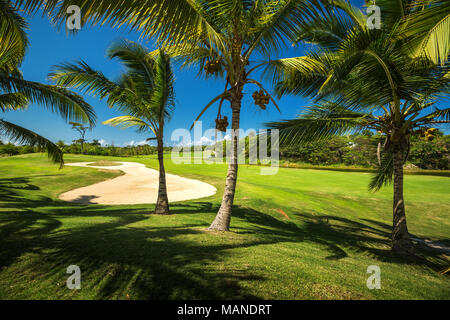 Golfplatz. Schöne Landschaft von einem Golfplatz mit Palmen in Punta Cana, Dominikanische Republik Stockfoto