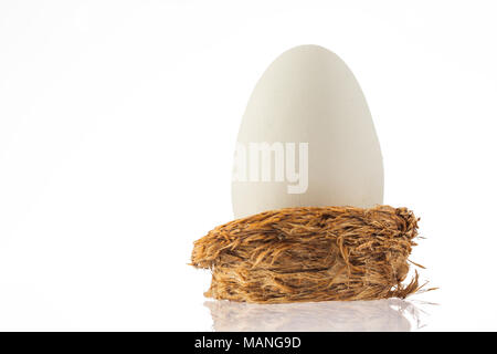 Ei im Nest auf weißem Hintergrund Stockfoto