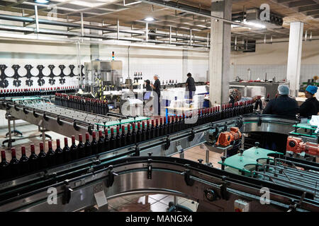 Kollegen in der abfüllanlage an einem Wein Fabrik arbeiten Stockfoto