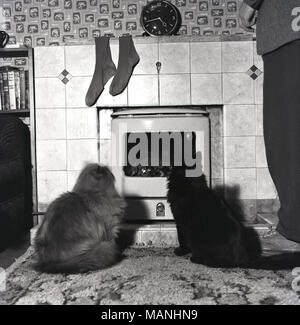 1960, historische, zwei Katzen in einem Wohnzimmer eines Hauses neben einander sitzen auf einem schäbigen Teppich vor, an starren und fasziniert, ein echtes Feuer, England, UK. Ein paar Herren Socken hängt über dem Kamin Fliesen trocknen. Stockfoto