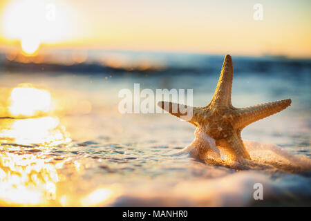 Auf der tropischen Insel Strand gegen Meer Seesterne, natürlichen Hintergrund Stockfoto