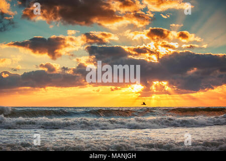 Am frühen Morgen den Sonnenaufgang über dem Meer und einen fliegenden Vogel, sunrise geschossen Stockfoto