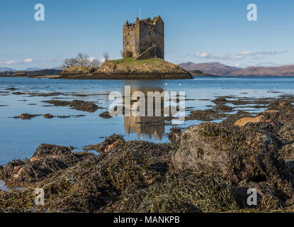 Castle Stalker ist ein mittelalterlicher Turm Haus steht auf einer kleinen felsigen Insel in der Mündung des Loch Laich. Es liegt etwa 2,4 km nordöstlich von Port App Stockfoto