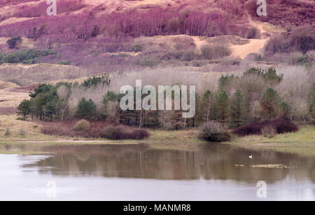 Malerischer Blick auf Landschaft mit Fluss in herbstlichen Farben drehen in den Frühling. Stockfoto