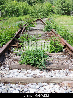 Aufgegeben und bewachsene Trasse, outdoor Szene. Stockfoto