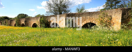 Sommer-Blick auf einen Teil der 26 gewölbte steinerne Brücke über Fluss Great Ouse in Bromham Dorf, Bedfordshire, England, UK Stockfoto