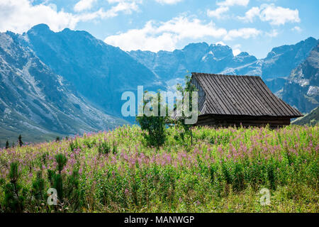 Hala Gasienicowa, hohen Tatra-Zakopane-Polen Stockfoto