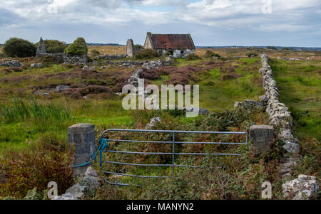 Irische Farm und Felswand abgebrochen wurden. Stockfoto