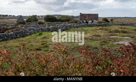 Irische Farm und Felswand abgebrochen wurden. Stockfoto