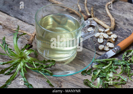 Löwenzahn-Tee, Löwenzahntee, Heiltee, Kräutertee, Tee, Wurzeltee, Wurzeln, Löwenzahn-Wurzel, Löwenzahn-Wurzeln, Löwenzahnwurzel, Löwenzahnwurzeln, Wie Stockfoto