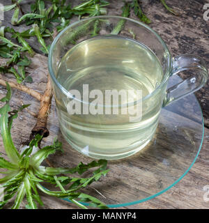 Löwenzahn-Tee, Löwenzahntee, Heiltee, Kräutertee, Tee, Wurzeltee, Wurzeln, Löwenzahn-Wurzel, Löwenzahn-Wurzeln, Löwenzahnwurzel, Löwenzahnwurzeln, Wie Stockfoto