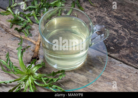 Löwenzahn-Tee, Löwenzahntee, Heiltee, Kräutertee, Tee, Wurzeltee, Wurzeln, Löwenzahn-Wurzel, Löwenzahn-Wurzeln, Löwenzahnwurzel, Löwenzahnwurzeln, Wie Stockfoto