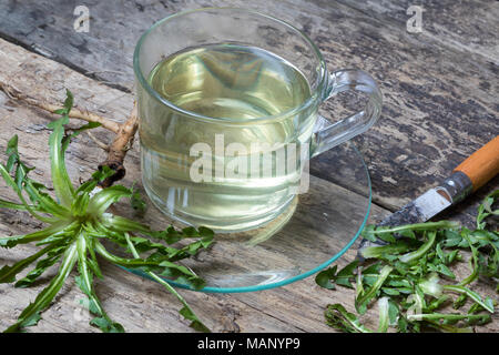 Löwenzahn-Tee, Löwenzahntee, Heiltee, Kräutertee, Tee, Wurzeltee, Wurzeln, Löwenzahn-Wurzel, Löwenzahn-Wurzeln, Löwenzahnwurzel, Löwenzahnwurzeln, Wie Stockfoto