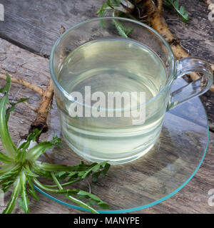 Löwenzahn-Tee, Löwenzahntee, Heiltee, Kräutertee, Tee, Wurzeltee, Wurzeln, Löwenzahn-Wurzel, Löwenzahn-Wurzeln, Löwenzahnwurzel, Löwenzahnwurzeln, Wie Stockfoto