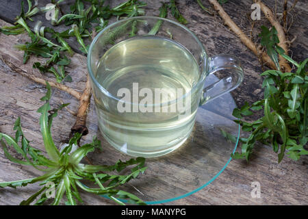 Löwenzahn-Tee, Löwenzahntee, Heiltee, Kräutertee, Tee, Wurzeltee, Wurzeln, Löwenzahn-Wurzel, Löwenzahn-Wurzeln, Löwenzahnwurzel, Löwenzahnwurzeln, Wie Stockfoto