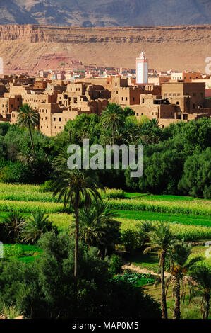 Die Oase Tinerhir kasbah mit der todra River Schluchten in den Horizont. Marokko Stockfoto