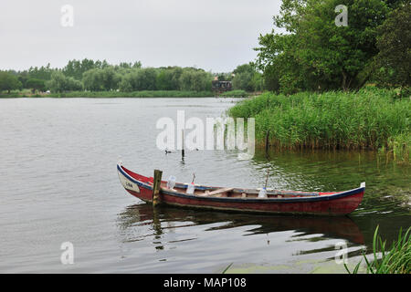 Eurasischen Blässhuhn (Fulica atra). Mira Lagune, Beira Litoral. Portugal Stockfoto