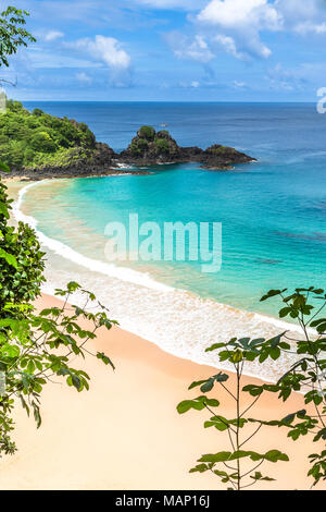 Fernando de Noronha, Brasilien. Luftaufnahme von Sancho Strand auf der Insel Fernando de Noronha. Anzeigen, ohne dass jemand am Strand. Bäume und Pflanzen um. Stockfoto