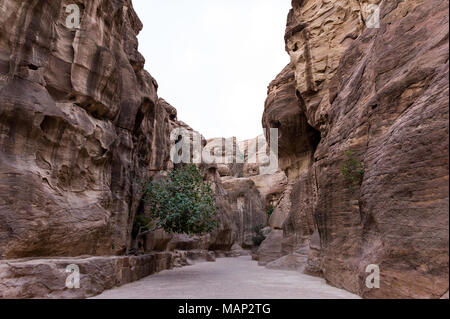 Der Siq ist der wichtigste Eintrag Straße, die zu den Treasary Halle in der archäologischen Stadt Petra, Jordanien führt. Stockfoto