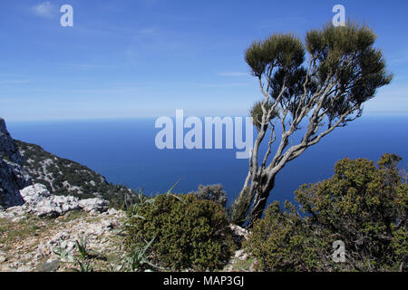 Mit Blick auf das Mittelmeer vom Berge von Mallorca Stockfoto