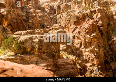 Al-Khazneh ist eine der aufwändigsten Tempeln in der alten arabischen nabatäische Stadt Petra. Stockfoto