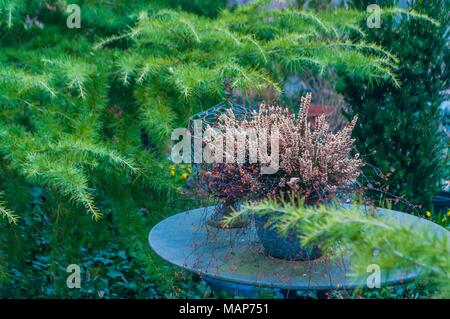 Foto des alten Marmortisch und Topf im Garten eingenommen - Stockfoto