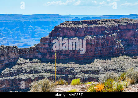 Grand Canyon in Arizona, USA Stockfoto