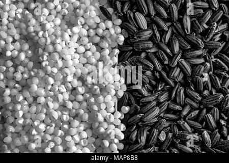 Monochrome Textur grober, schwarzer Reis mit Weizen millet Porridge das Konzept der richtige Ernährung und gesunde Lebensweise getrennt. Ansicht von oben, close-up Stockfoto