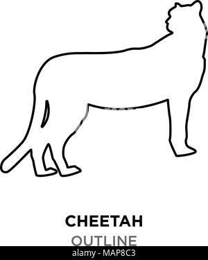 Cheetah Umrisse auf weißem Hintergrund Stock Vektor