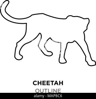 Cheetah Umrisse auf weißem Hintergrund Stock Vektor