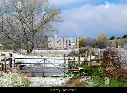 Im späten Winter Schneefall am Avon Valley Fußweg an Burgate Farm, Berka/Werra, Hampshire, Großbritannien Stockfoto