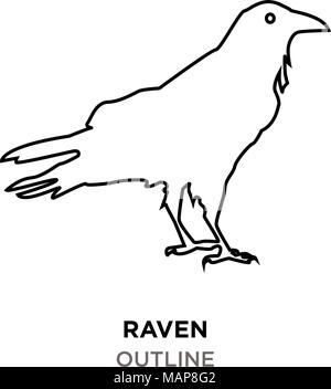 Raven Umrisse auf weißem Hintergrund Stock Vektor