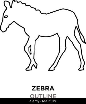 Zebra Umrisse auf weißem Hintergrund Stock Vektor