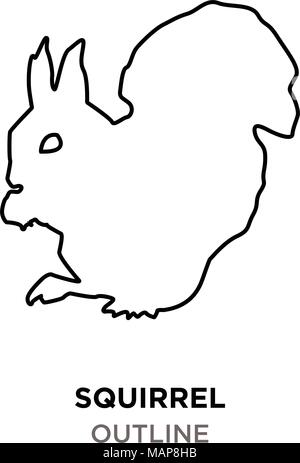 Überblick über ein Eichhörnchen auf weißem Hintergrund Stock Vektor