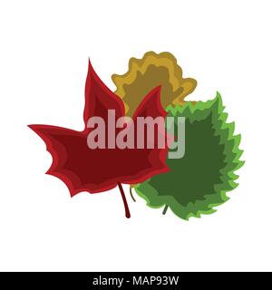 Satz von Blatt Symbol. Cartoon Stil. Bunte Vektor Illustration. Stock Vektor